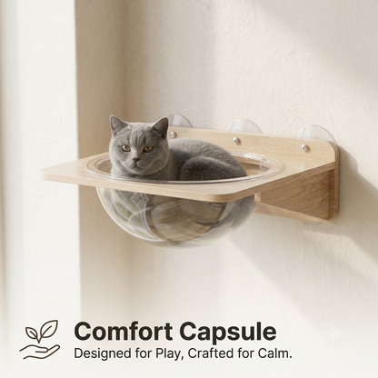 Give Your Cat the Best Seat in the House.