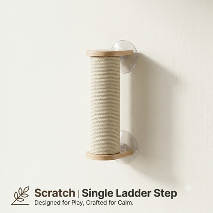 Give Your Cat the Best Seat in the House.