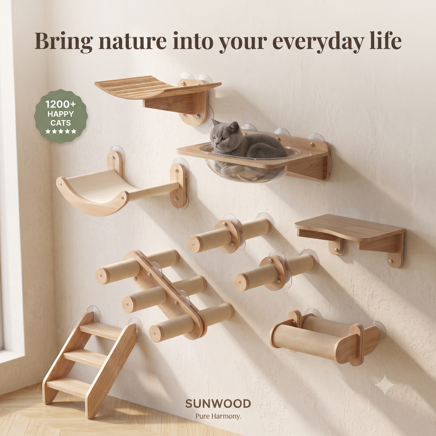 Give Your Cat the Best Seat in the House.
