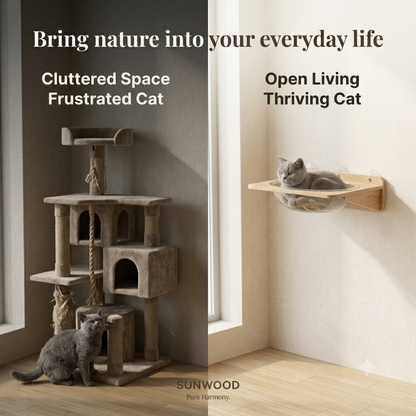 Give Your Cat the Best Seat in the House.