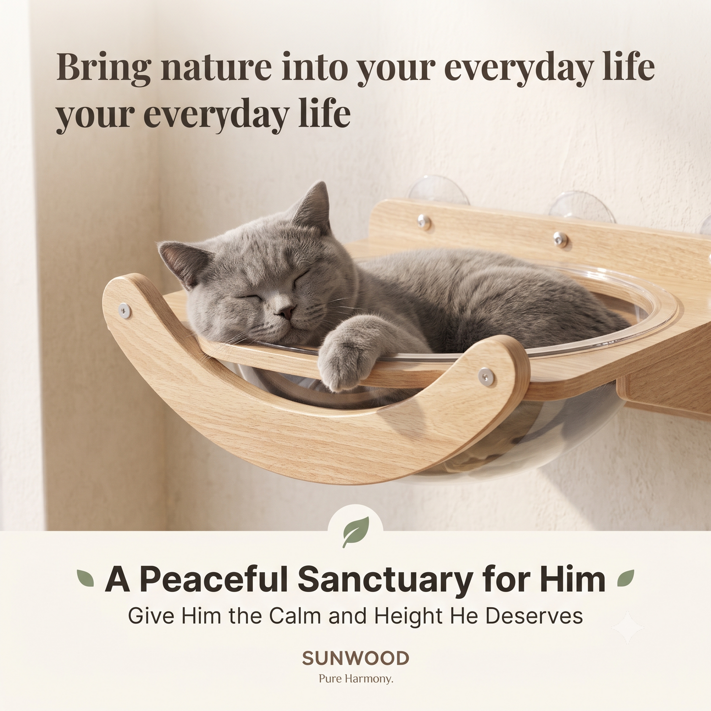 Give Your Cat the Best Seat in the House.